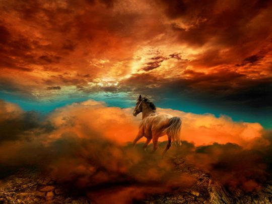 Amazing Horse Wallpapers - All Best Desktop Wallpapers