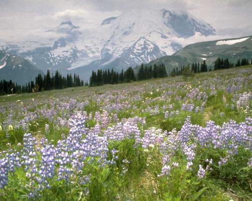 Desktop Widescreen Wallpapers - Free Download: Most Beautiful And 