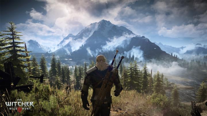Witcher 3 HD Wallpaper -