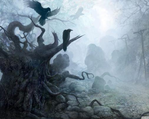 Free download The Witcher 8 Wallpaper 1920x1080 The Witcher 8 