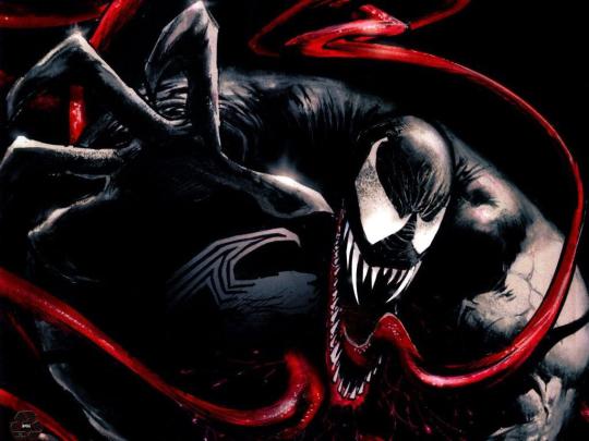 Venom Spider-Man Wallpapers - Top Free Venom Spider-Man Backgrounds 
