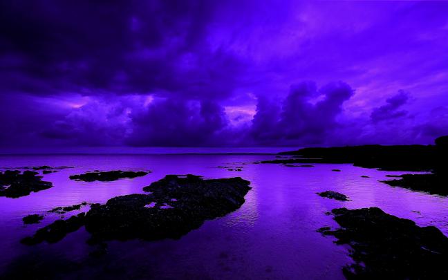 Violet Wallpapers -