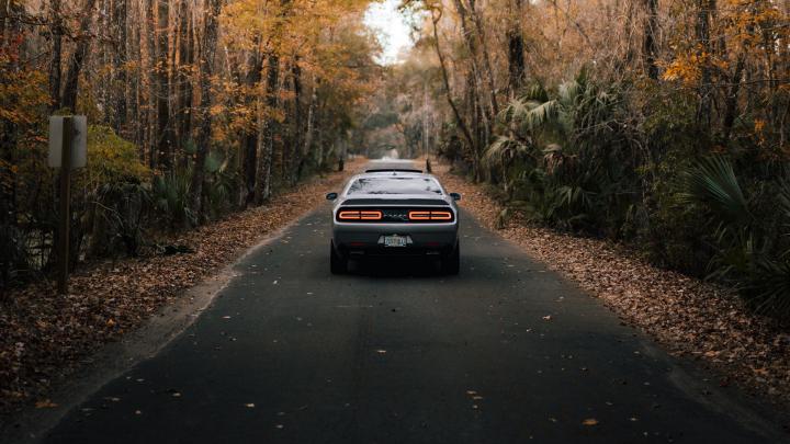 Download wallpaper 1920x1080 car, gray, rear view, road, asphalt full 
