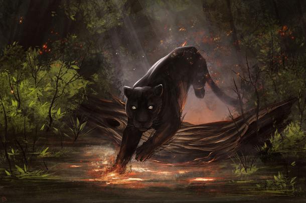 Black Jaguar Animal Wallpapers - Top Free Black Jaguar Animal 