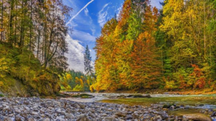 Wallpaper HD 1920x1080 Kostenlos Herbst