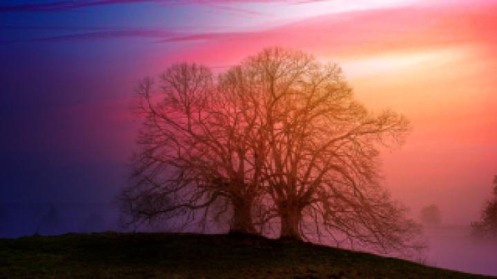 Wallpaper HD 1920x1080 Kostenlos Herbst