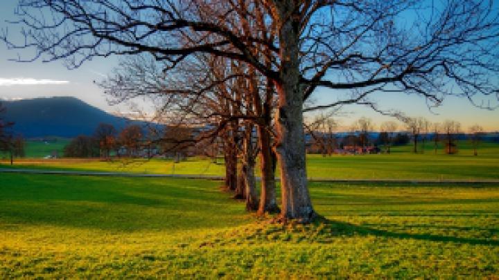 Wallpaper HD 1920x1080 Kostenlos Herbst