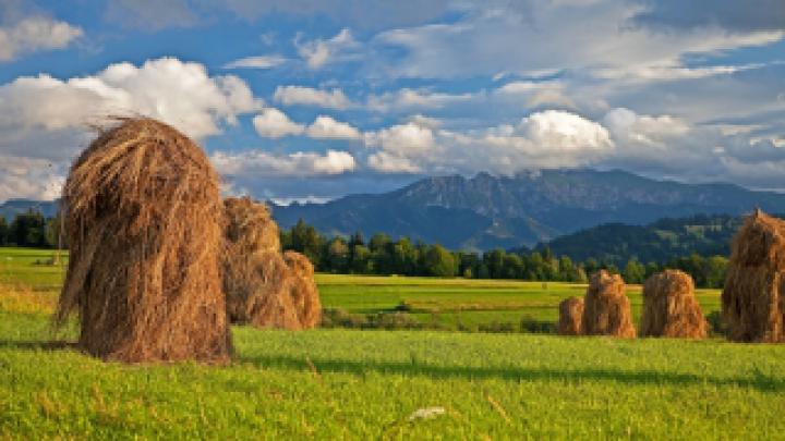 Wallpaper HD 1920x1080 Kostenlos Herbst