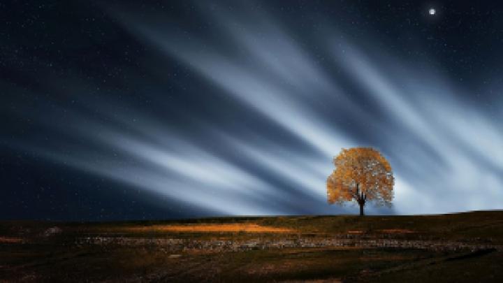 Wallpaper HD 1920x1080 Kostenlos Herbst