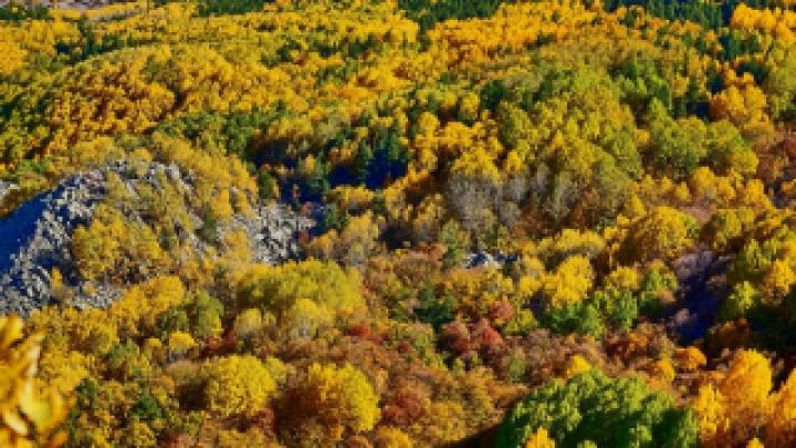 Wallpaper HD 1920x1080 Kostenlos Herbst