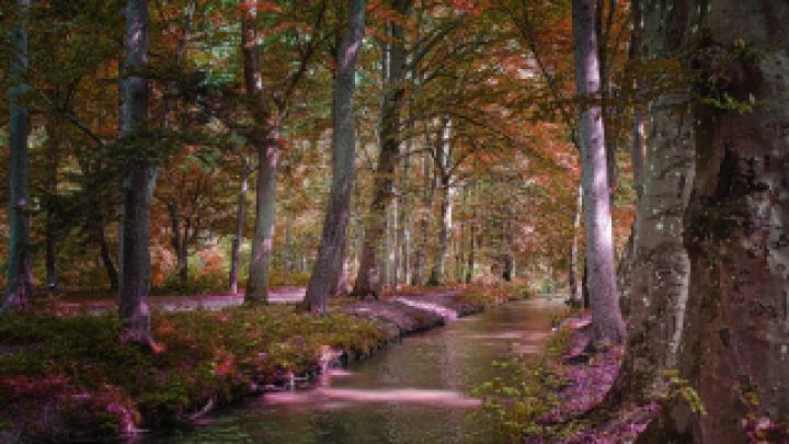 Wallpaper HD 1920x1080 Kostenlos Herbst
