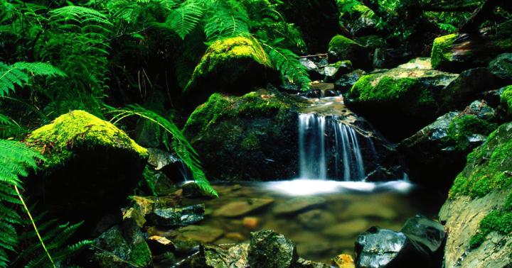 Hd Wallpapers 1920x1080 Love - Wallpaper HD - HD Image - Desktop Wallpaper