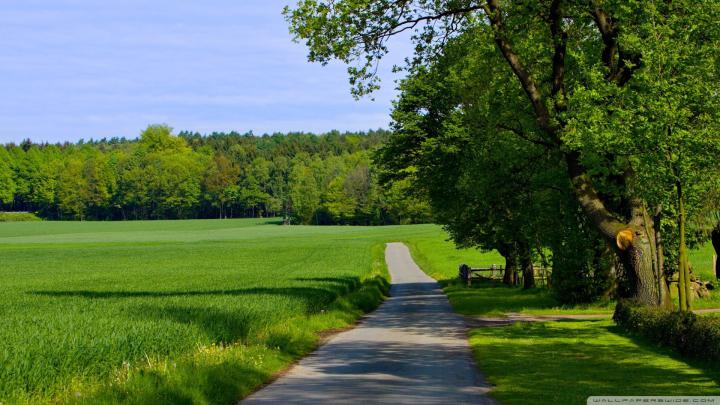 Free download summer nature landscape wallpapers wallpaper images 