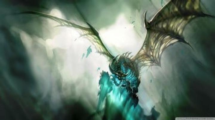 Free download world of warcraft dragon wallpaper images 1920x1080 