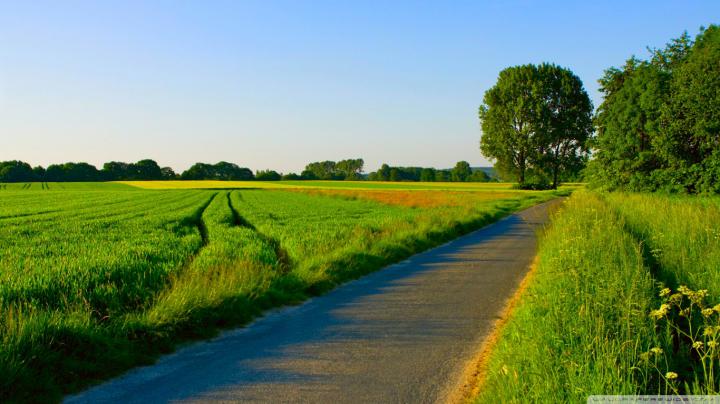 Free download summer nature landscape wallpapers wallpaper images 