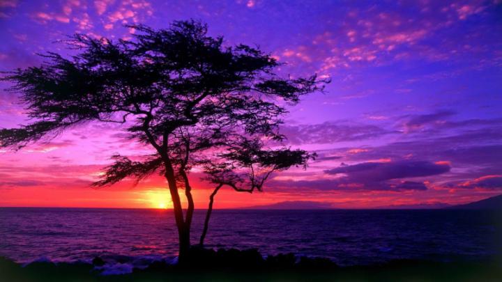 Free download hawaii wallpaper images 1920x1080 [1920x1080] for your 