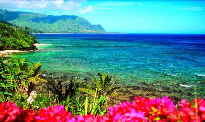 [65+] Hawaii Background Images 