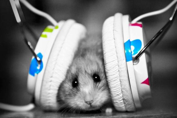 Music Desktop Wallpaper \u00b7\u2460 