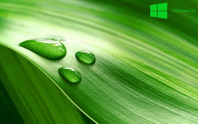 Free download Green Windows 10 Wallpaper by TravisLutz [1131x707] for 