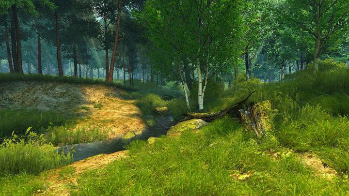 #screensaver #windows #desktopcustomization - Hd 3d Forest (#799672 