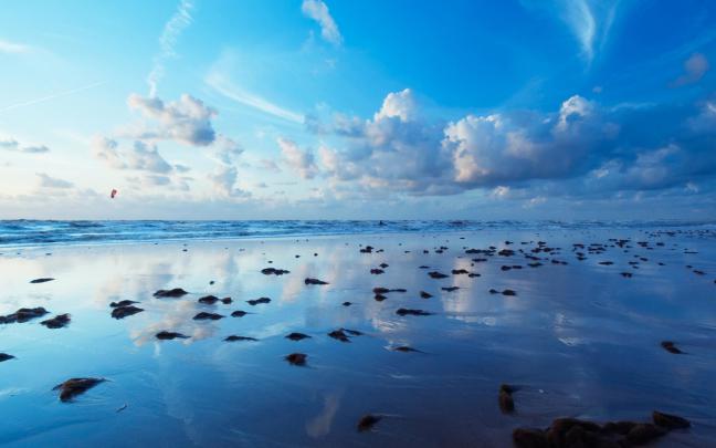 Free download Ocean Live Wallpaper HD 1920x1080 5390 [1920x1080] for 