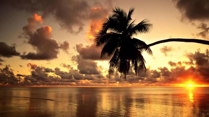 Free download hawaii bridges maui 1920x1080 wallpaper Architecture 