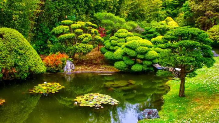 Free download How to set below image as wallpaper [1920x1080] for your 