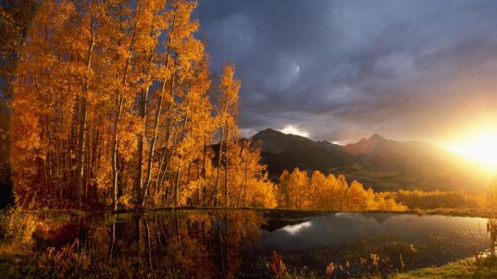 Free download HD Nature Wallpaper Photography autumn painting 1920x1080 