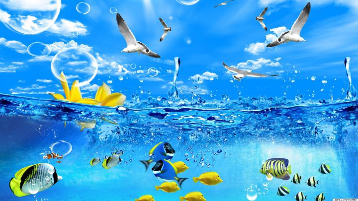 Free download 3D Fische Desktop Hintergrundbild 1920x1080 HD Kostenlose 