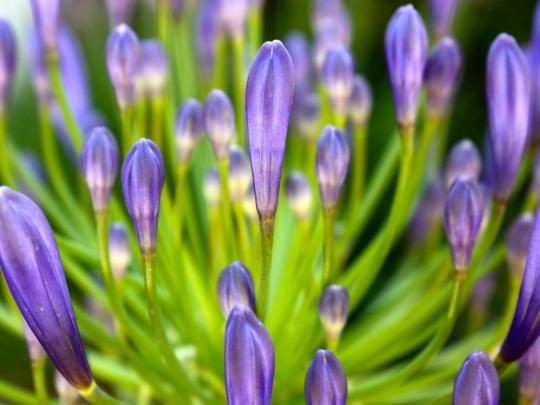 Spring wallpaper \u00b7\u2460 Download free High Resolution wallpapers for 