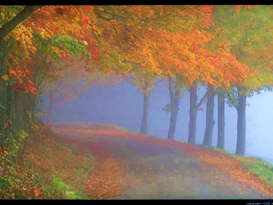 Windows Xp Autumn Wallpaper 1920X1080 : Autumn Wallpaper 1920x1080 \u00b7\u2460 