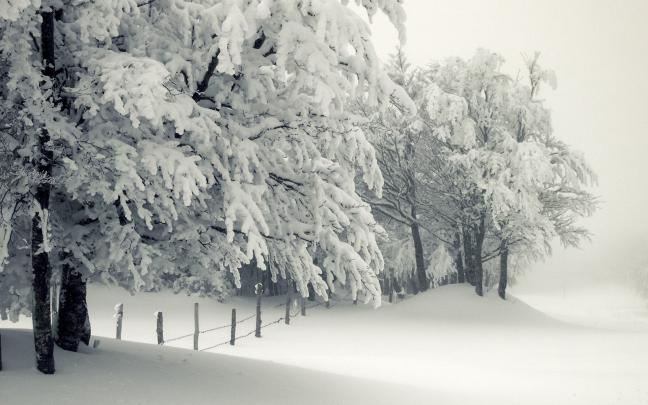 Cute Winter Backgrounds -
