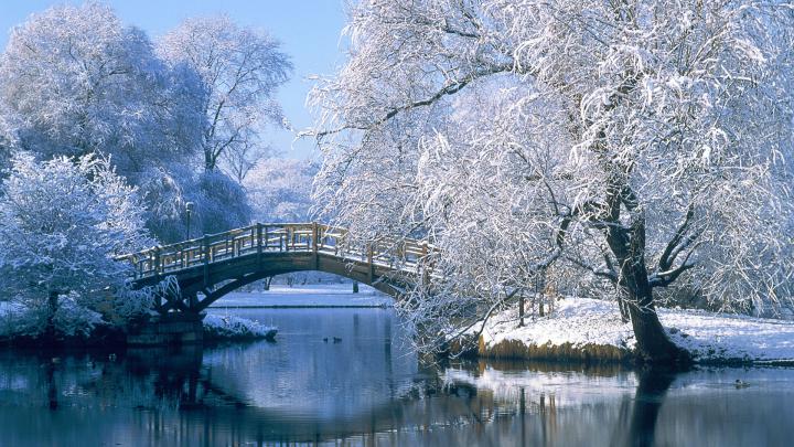 Winter Wallpapers