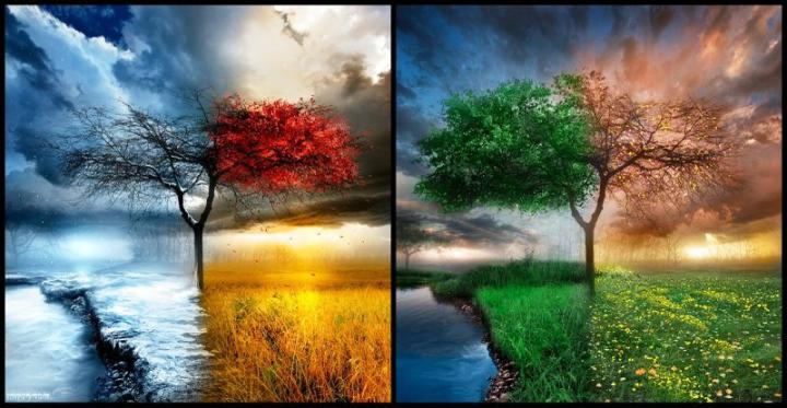 HD Wallpapers Seasons -