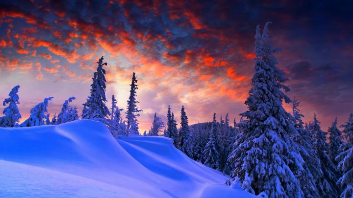 Download 3840x2160 wallpaper winter evening, beautiful sky, trees 