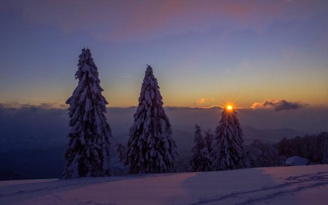 Download 2560x1600 wallpaper trees, landscape, sunset, winter, clean 