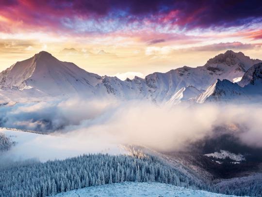 Download 1600x1200 wallpaper landscape, mountains, winter, forest 