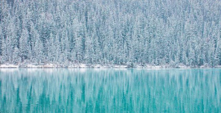 Desktop wallpaper pine trees, winter, reflections, blue lake, hd image 
