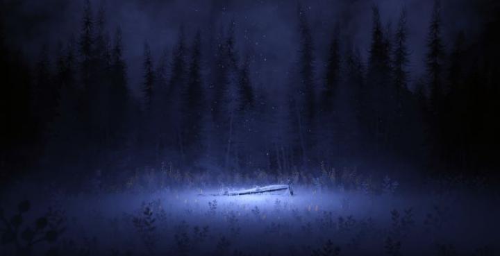 Desktop wallpaper snowfall of winter night, meadow, art, hd image 