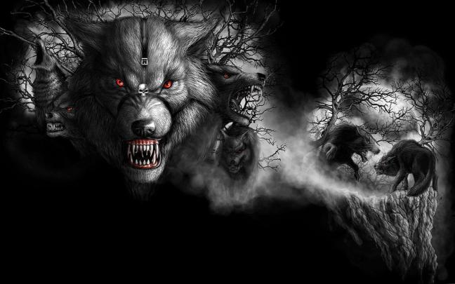 Yugo The Wolf Wallpaper \/ Yugo the wolf in white by benamitsu on 