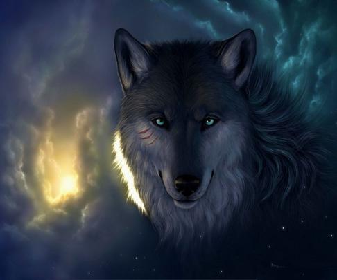 Wolf Wallpaper Mobile \/ 960x800 mobile phone wallpapers download - 124 