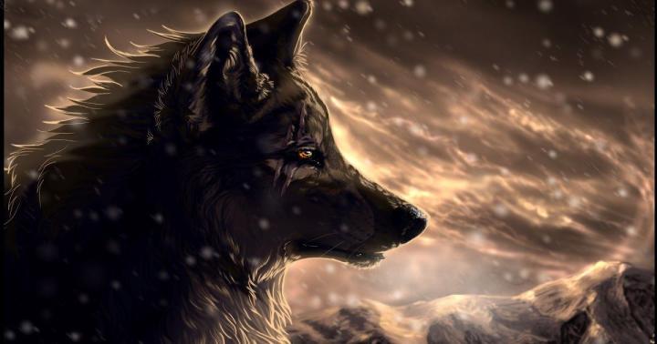 Wolf Hd Wallpapers 1080p - free ultrahd wallpaper