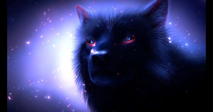 Wolf Wallpaper \/ Wolf Wallpaper Enjpg - Only the best hd background 