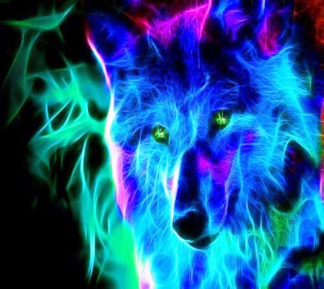 Red And Blue Wolf Wallpaper