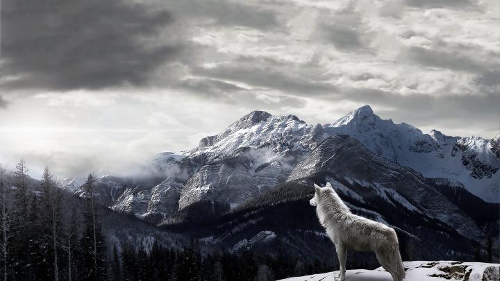 1920 X 1080 Werewolf Wallpapers (74+ images)
