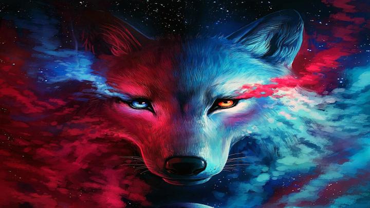 Beautiful Wolf Wallpaper (80+ images)