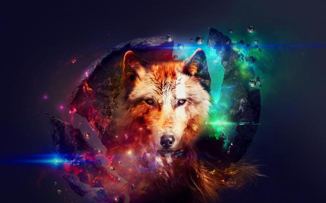 Galaxy Wolf Wallpaper (69+ images)