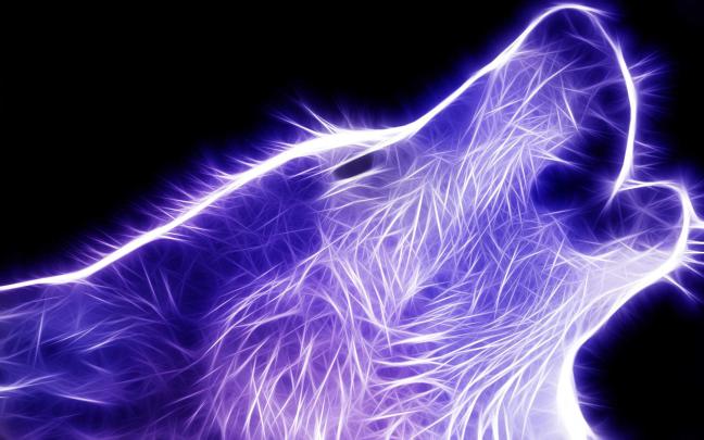 Wolf Wallpapers (79+ background pictures)