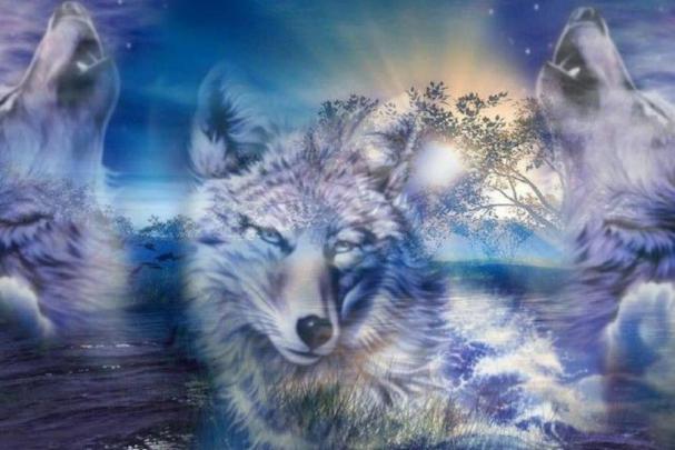 Fantasy Wolf Wallpaper \u00b7\u2460 