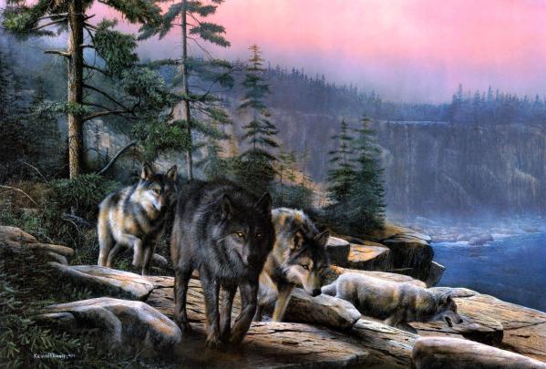 Animated Wolf Wallpaper (64+ images)